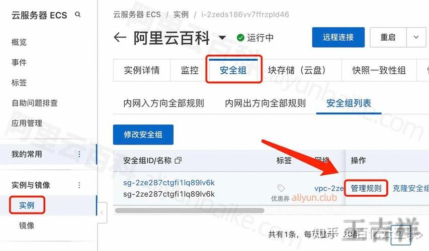 开云最新网站入口发布与访问指南